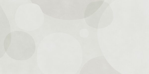 Circle - immagine 2