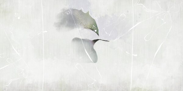 Colibrì - immagine 3