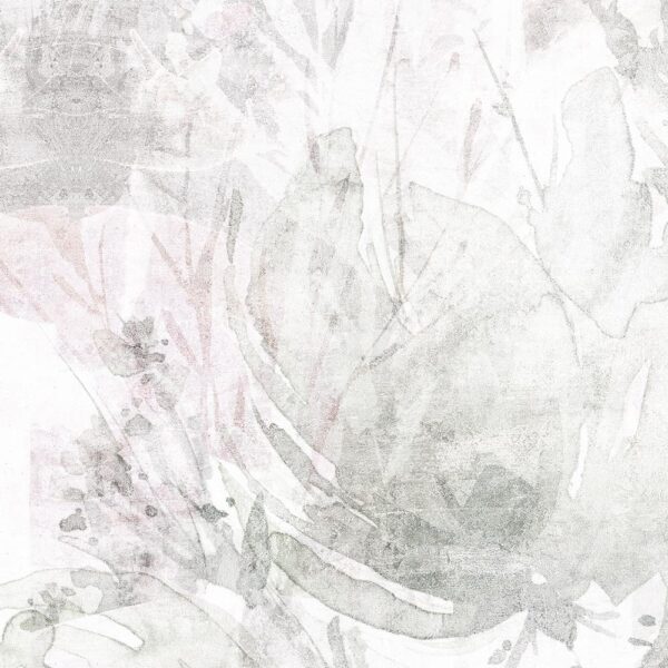 Wisteria - immagine 5