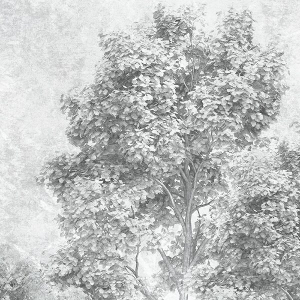 Luce - immagine 4