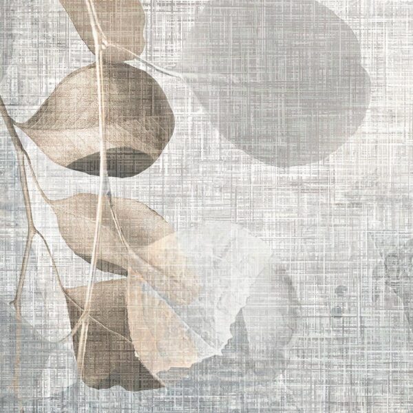 September - immagine 4
