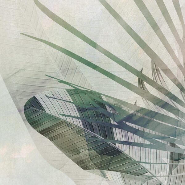 Folia - immagine 4