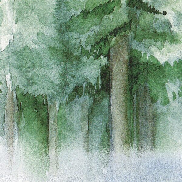 Foresta d'estate - immagine 3