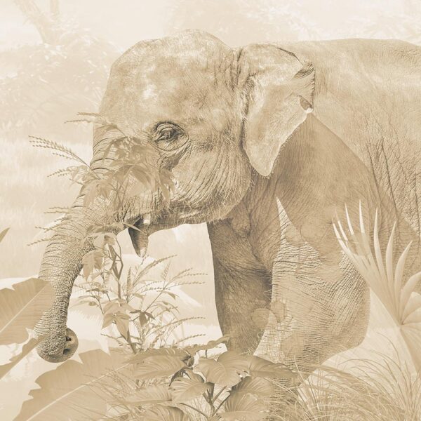 Giungla tropicale - immagine 3