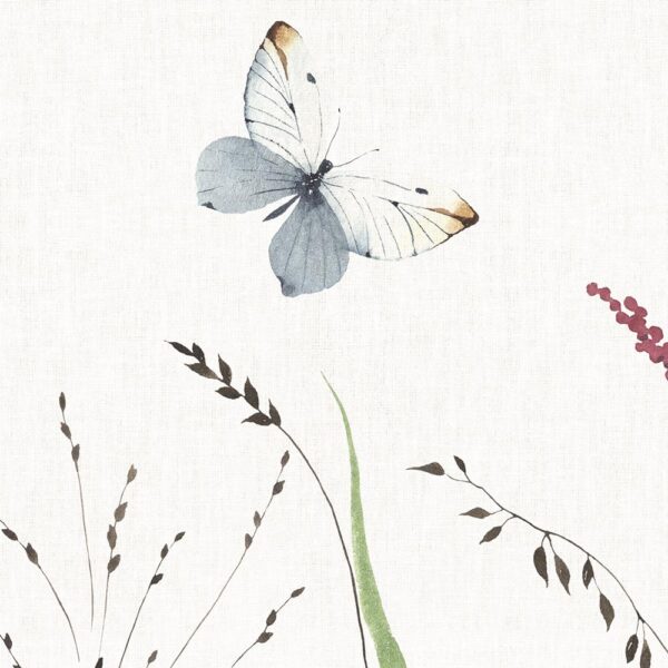 Lady bug - immagine 3