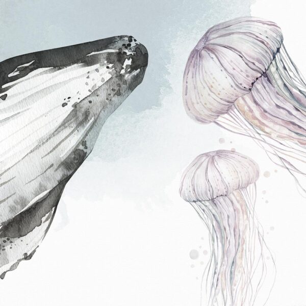Moby dick - immagine 3