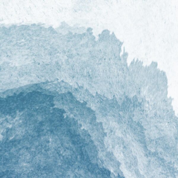The shore - immagine 3