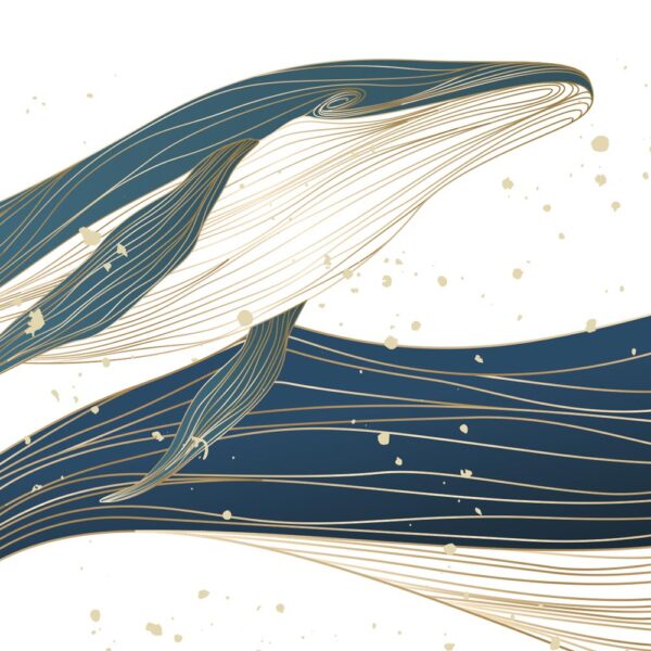 Giants blue - immagine 3