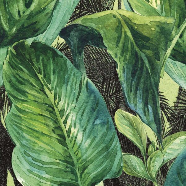 Jungle - immagine 5