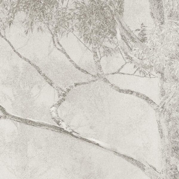 Ophelia - immagine 4