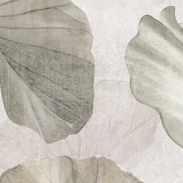 Nelumbo - immagine 3