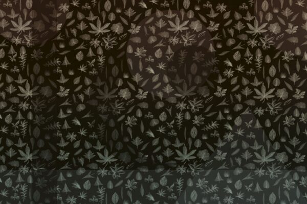 Eclipse - immagine 3