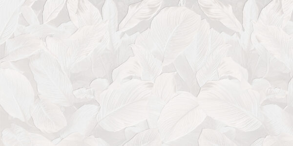 Ethereal - immagine 2
