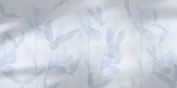 Feelings - immagine 4