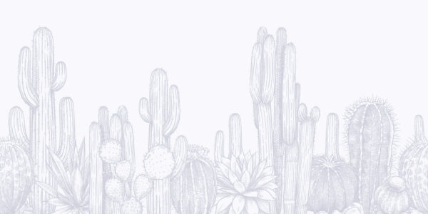 Fiabe nel Deserto - immagine 2