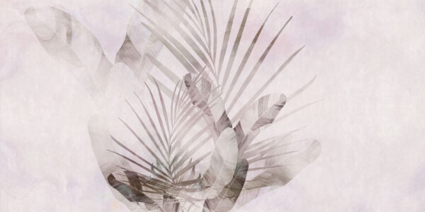 Folia - immagine 3