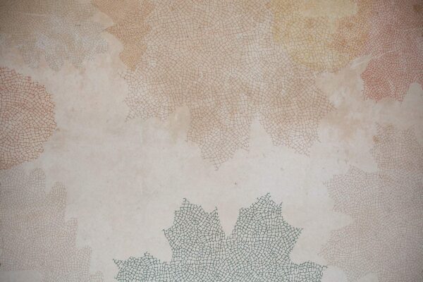 Fossil - immagine 2