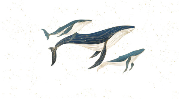 Giants blue - immagine 2