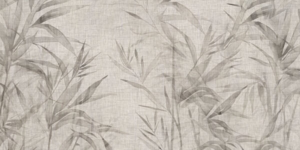 Ginseng - immagine 2