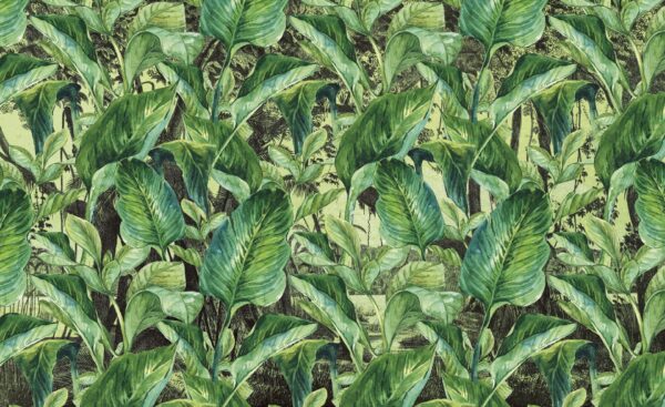Jungle - immagine 2