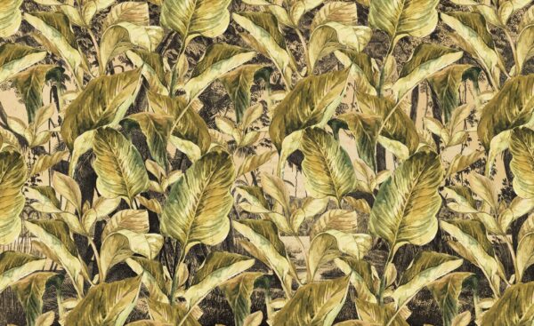 Jungle - immagine 3