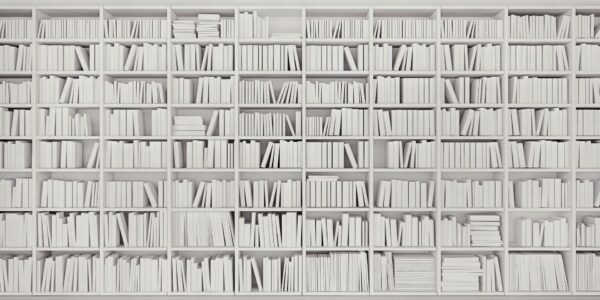 Library - immagine 2