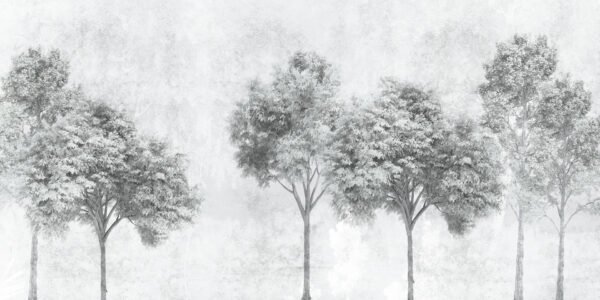 Luce - immagine 2