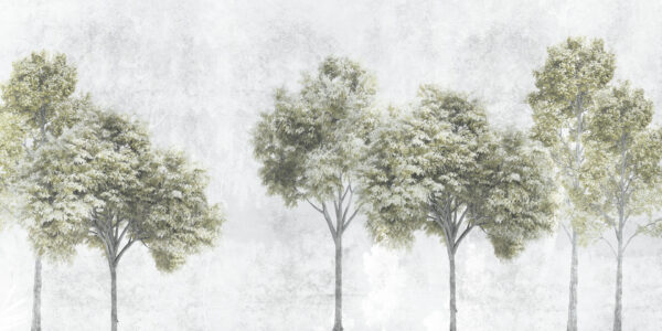 Luce - immagine 3