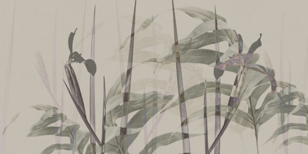 Narciso - immagine 2