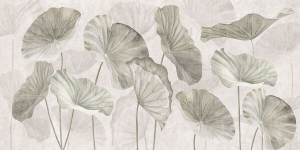 Nelumbo - immagine 2