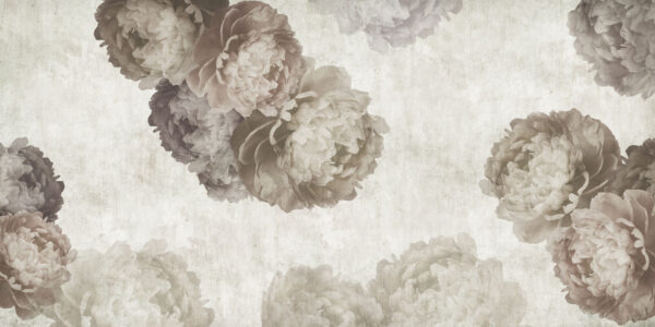 Peonia - immagine 2