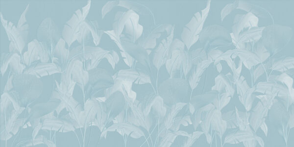 Pureness - immagine 3