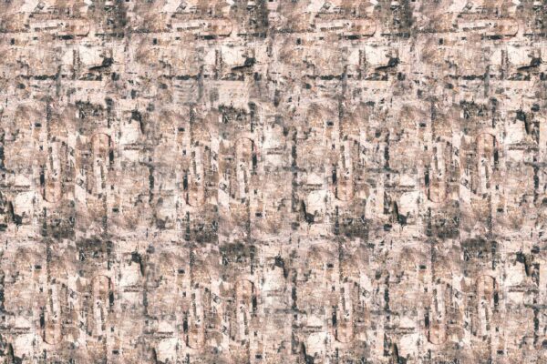 Raw - immagine 2