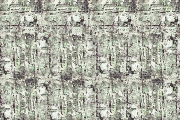 Raw - immagine 3