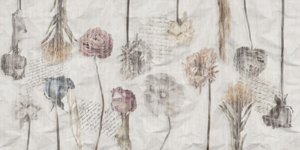 Romance - immagine 2