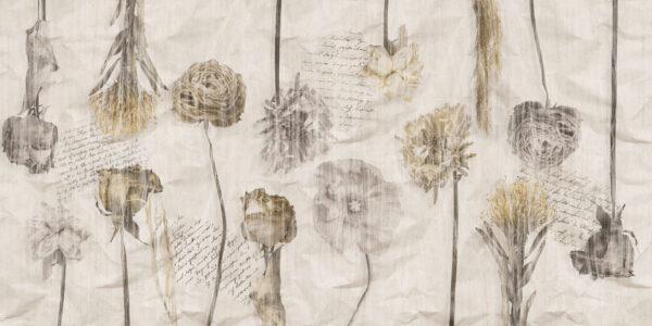 Romance - immagine 3