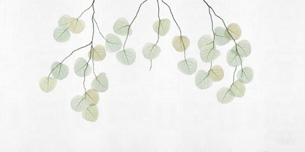 Skeleton leaf - immagine 2