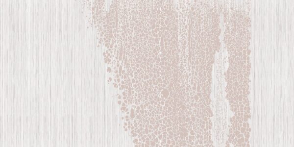 Skin - immagine 2