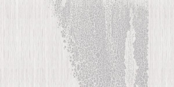 Skin - immagine 3
