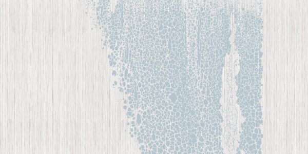 Skin - immagine 4