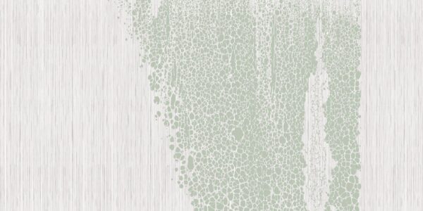 Skin - immagine 5