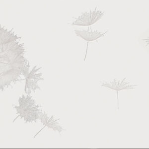 Snow-white - VE189-1