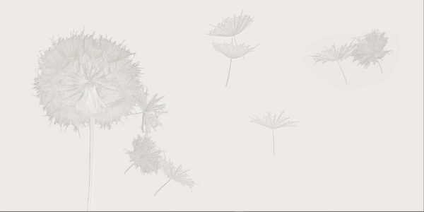 Snow-white - VE189-1