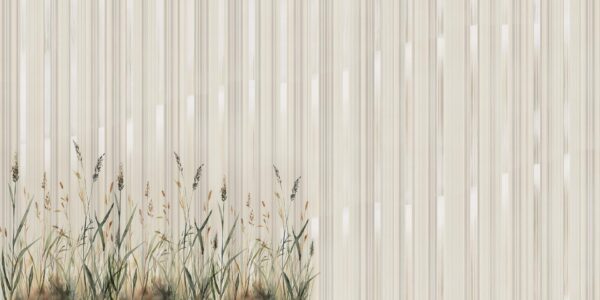 Suburbs - immagine 2