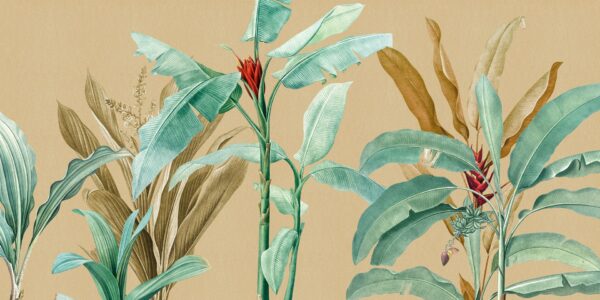Tropical - immagine 2