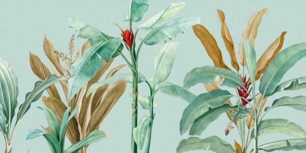 Tropical - immagine 3