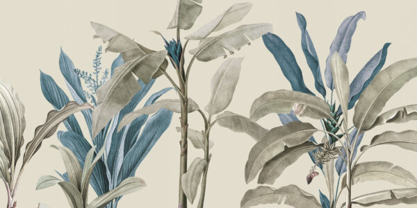 Tropical - immagine 5