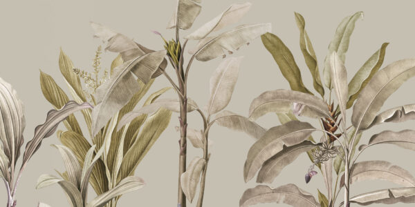 Tropical - immagine 6