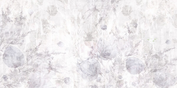 Wisteria - immagine 3